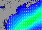 Swell