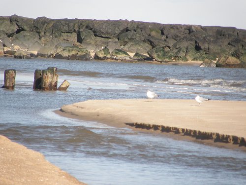 MANASQUAN BEACH