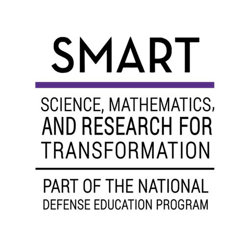 DoD SMART logo