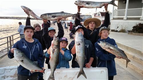 Bluefish Blitz! Manasquan Inlet 