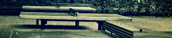 ping pong ping pong